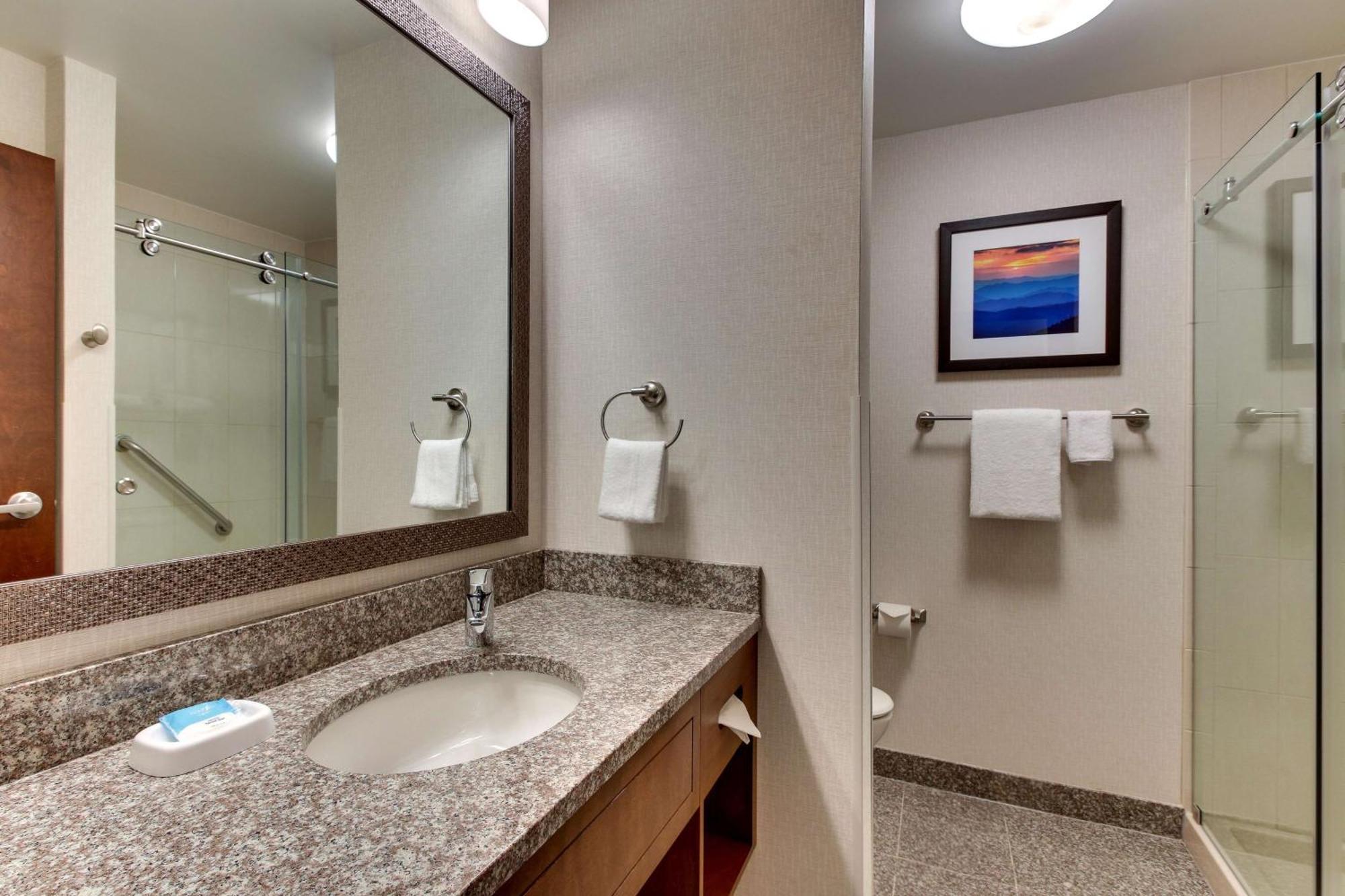 Deluxe King Suite