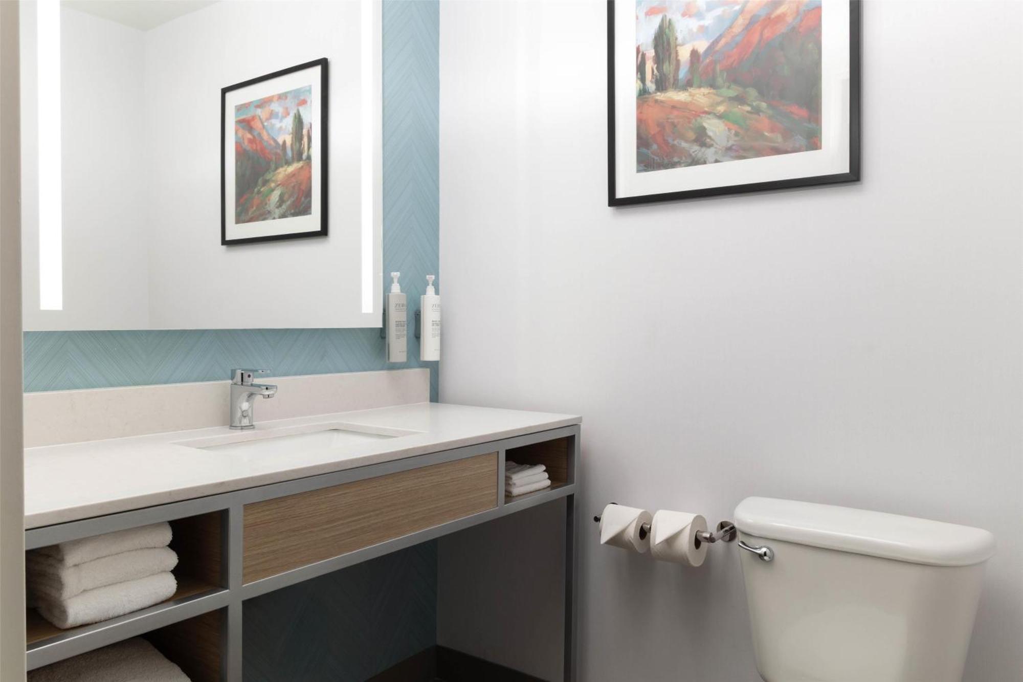 One-Bedroom King Suite