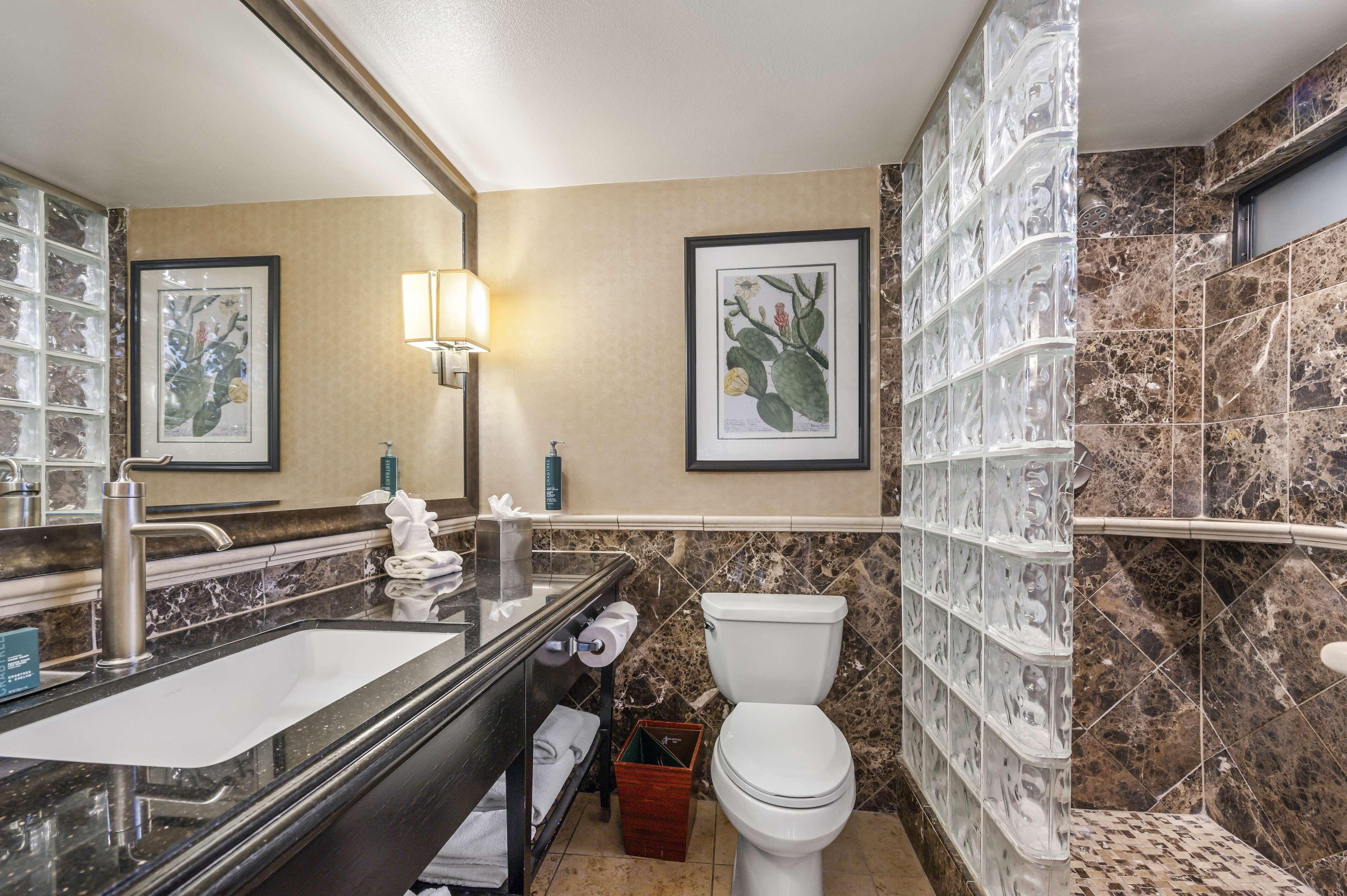 Standard King Suite
