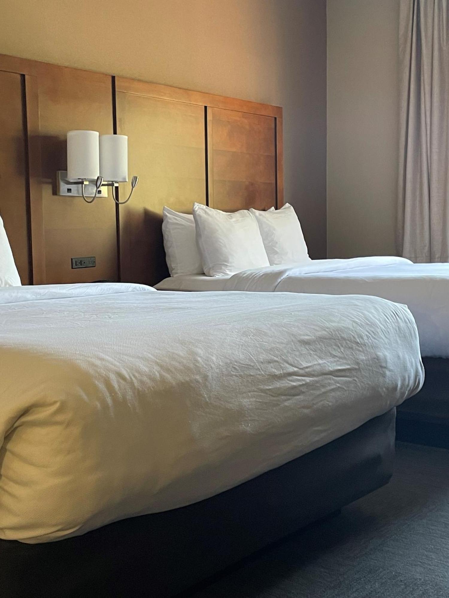 Queen Room Two Queen Beds Mobility Access Roll shower Non-Smoking