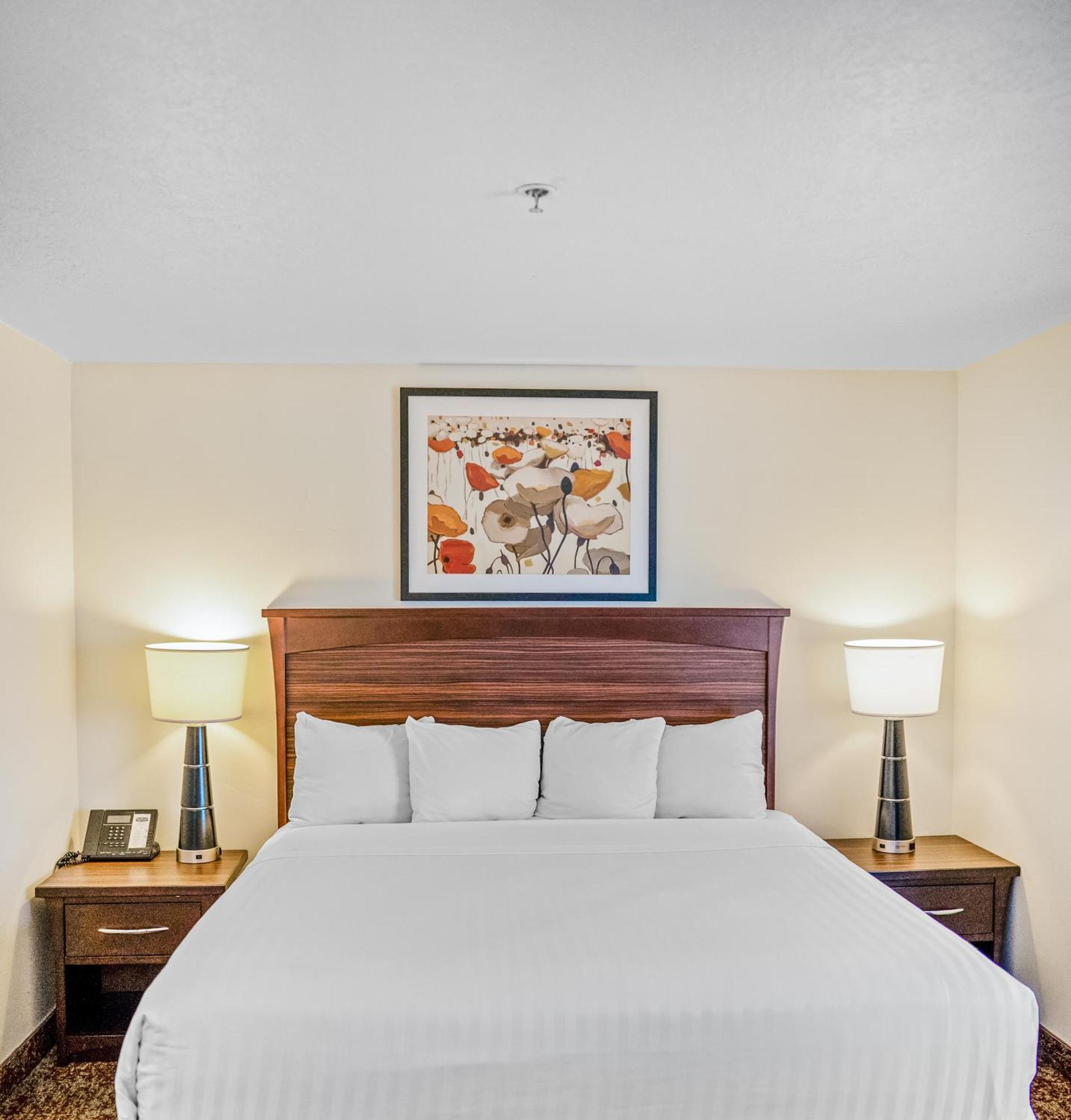 Standard King Room