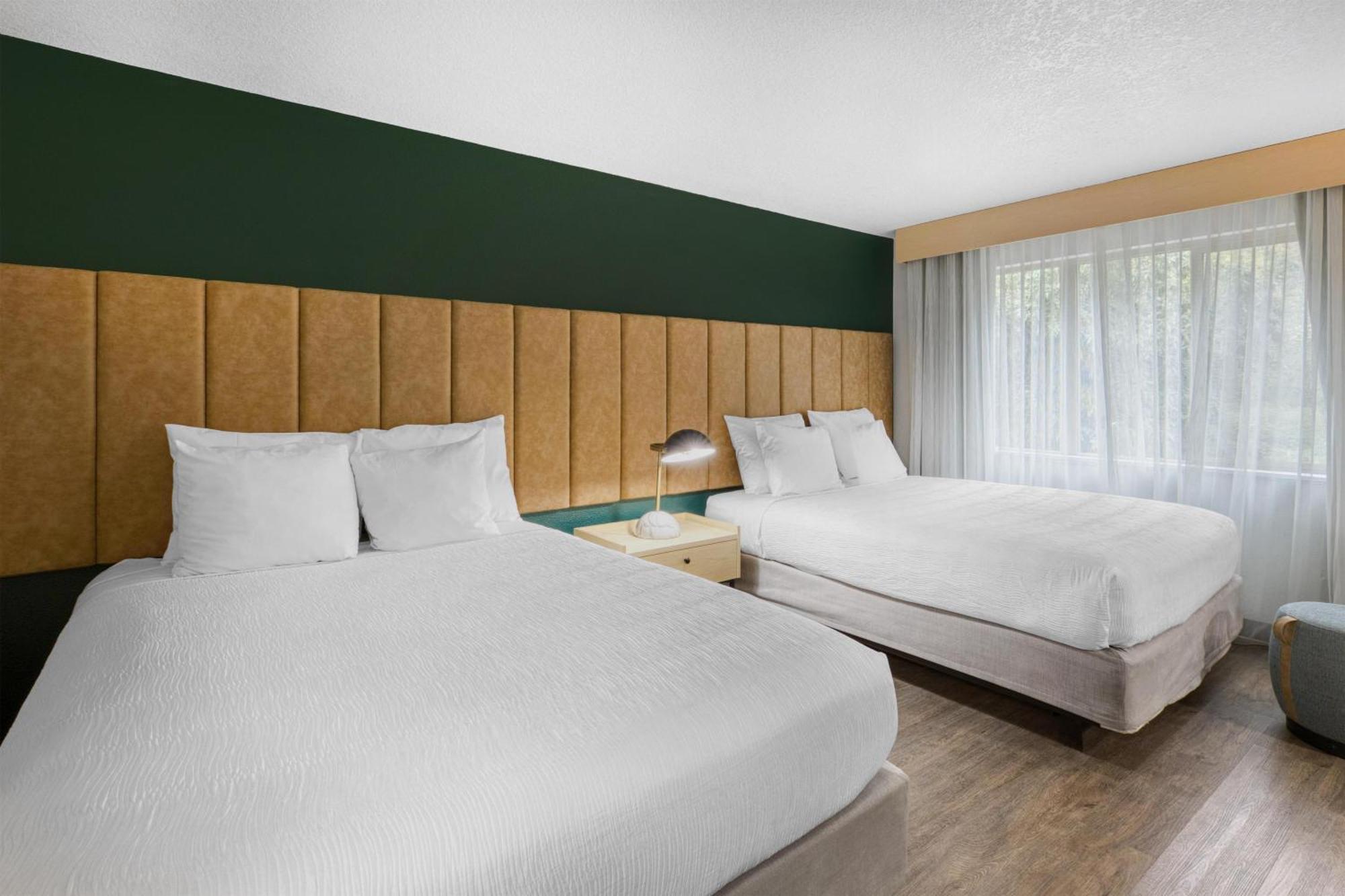 Queen Room Two Queen Beds Walk Shower Disability Access or Non-Smoking