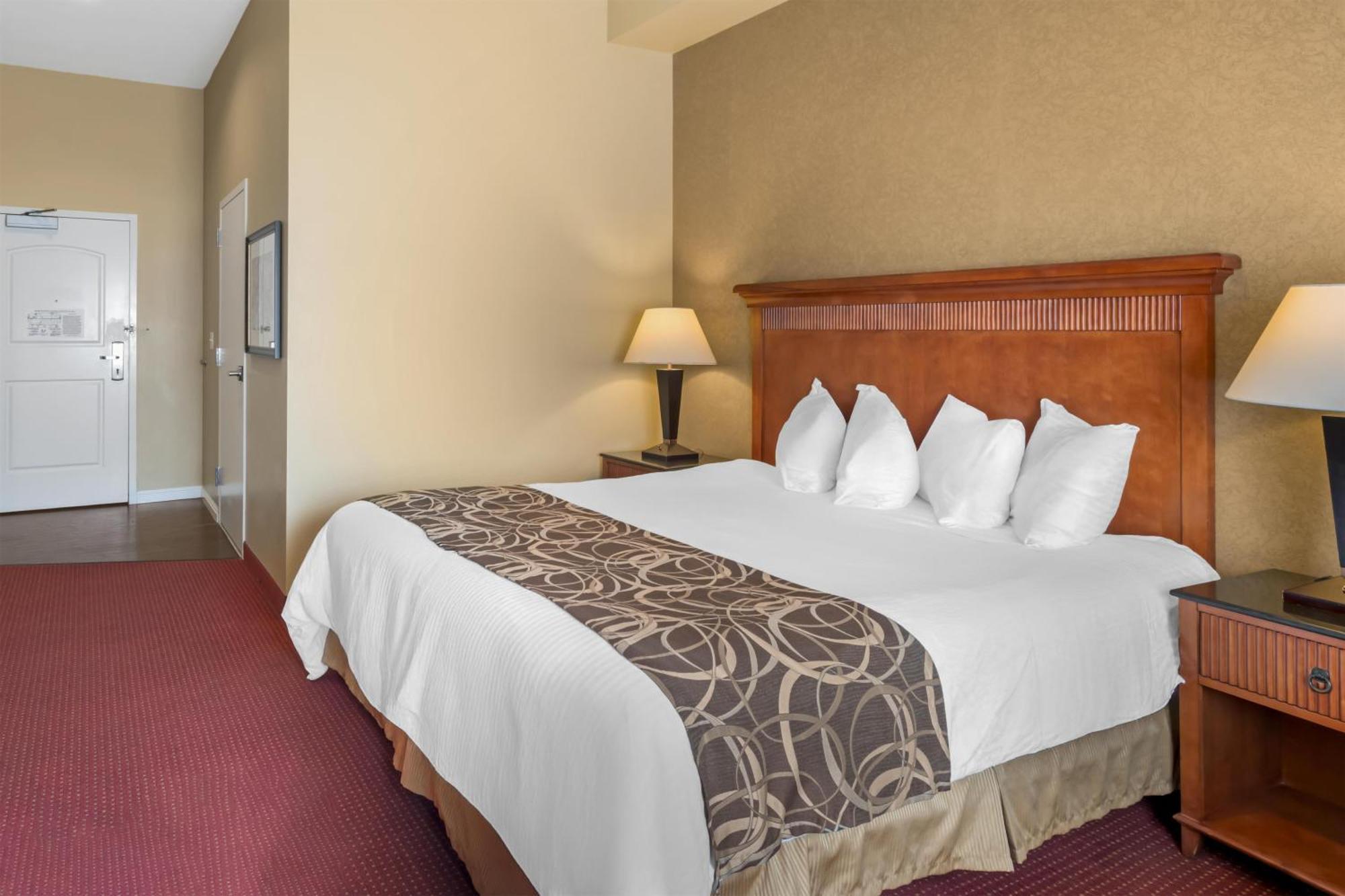 King Room Roll Shower Disability Access or Non-Smoking