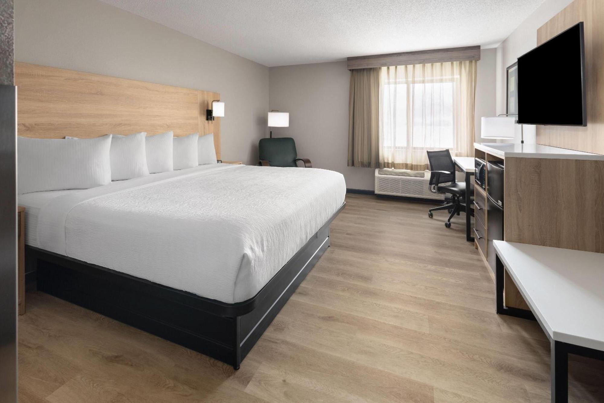 Deluxe King Suite