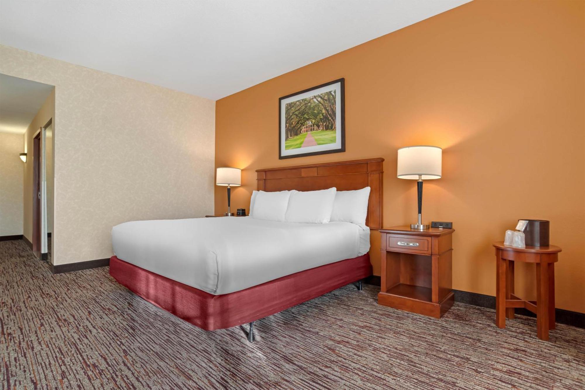 Deluxe King Room Accessible Tub