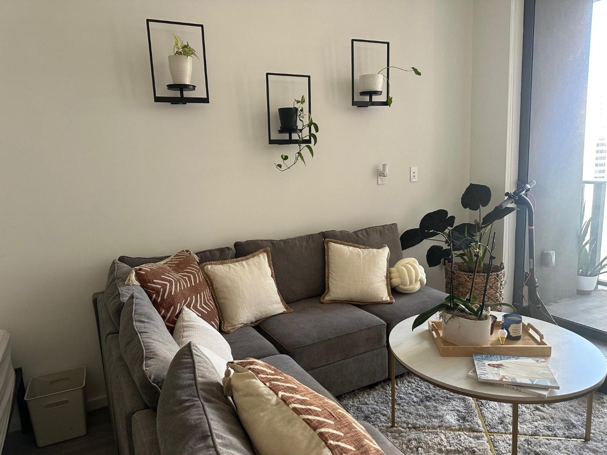 Studio with Garden View