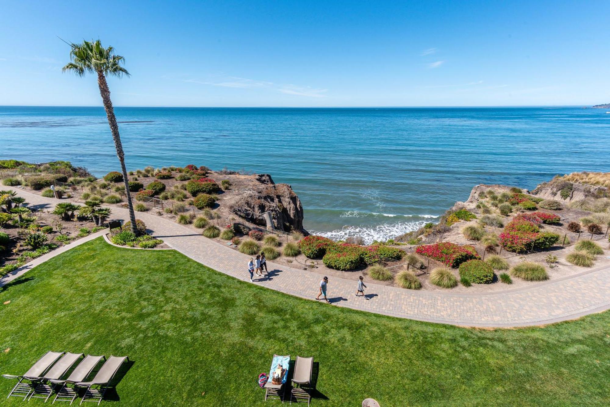 One-Bedroom Suite Ocean View