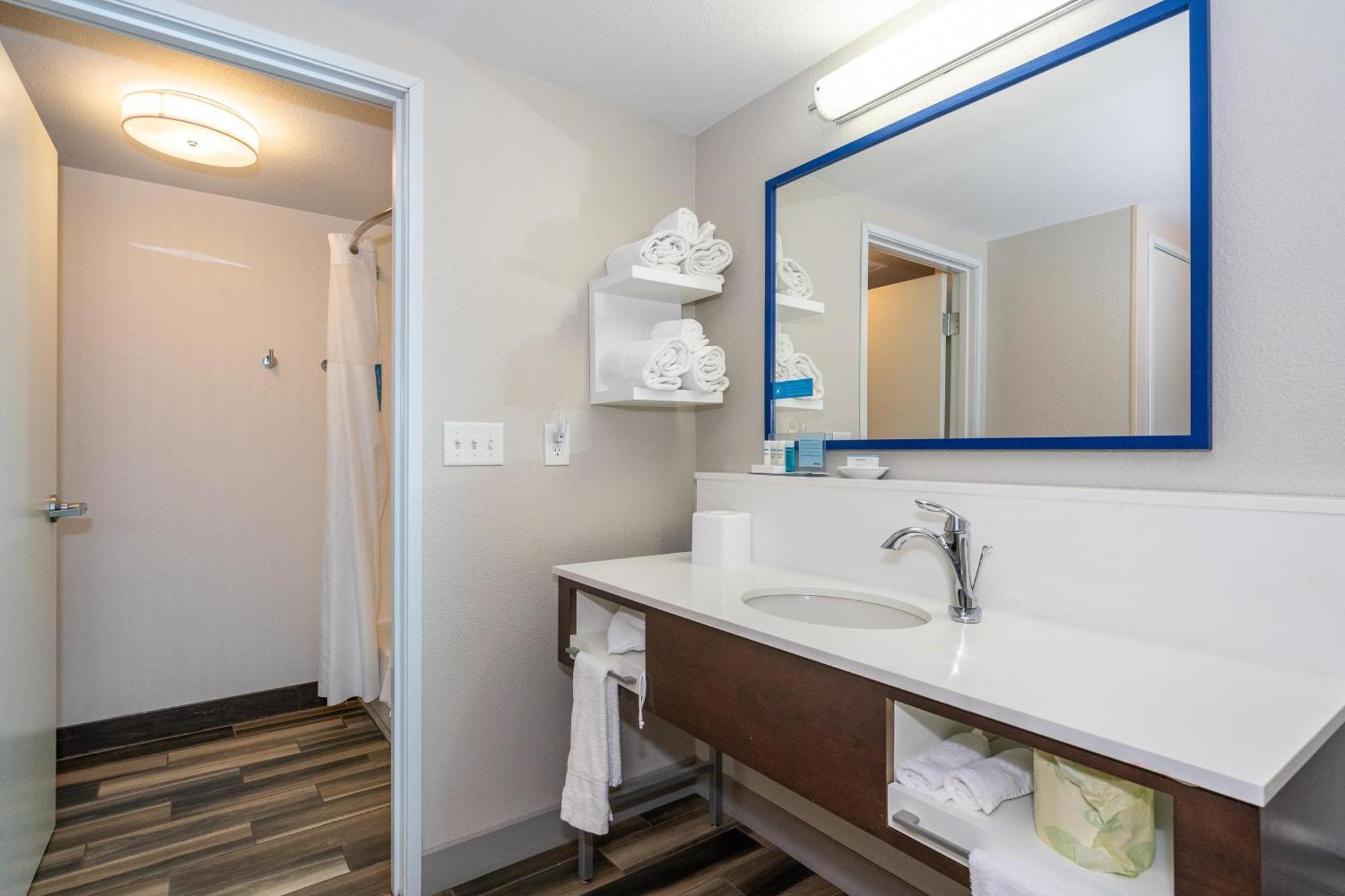 One-Bedroom King Suite with Fireplace