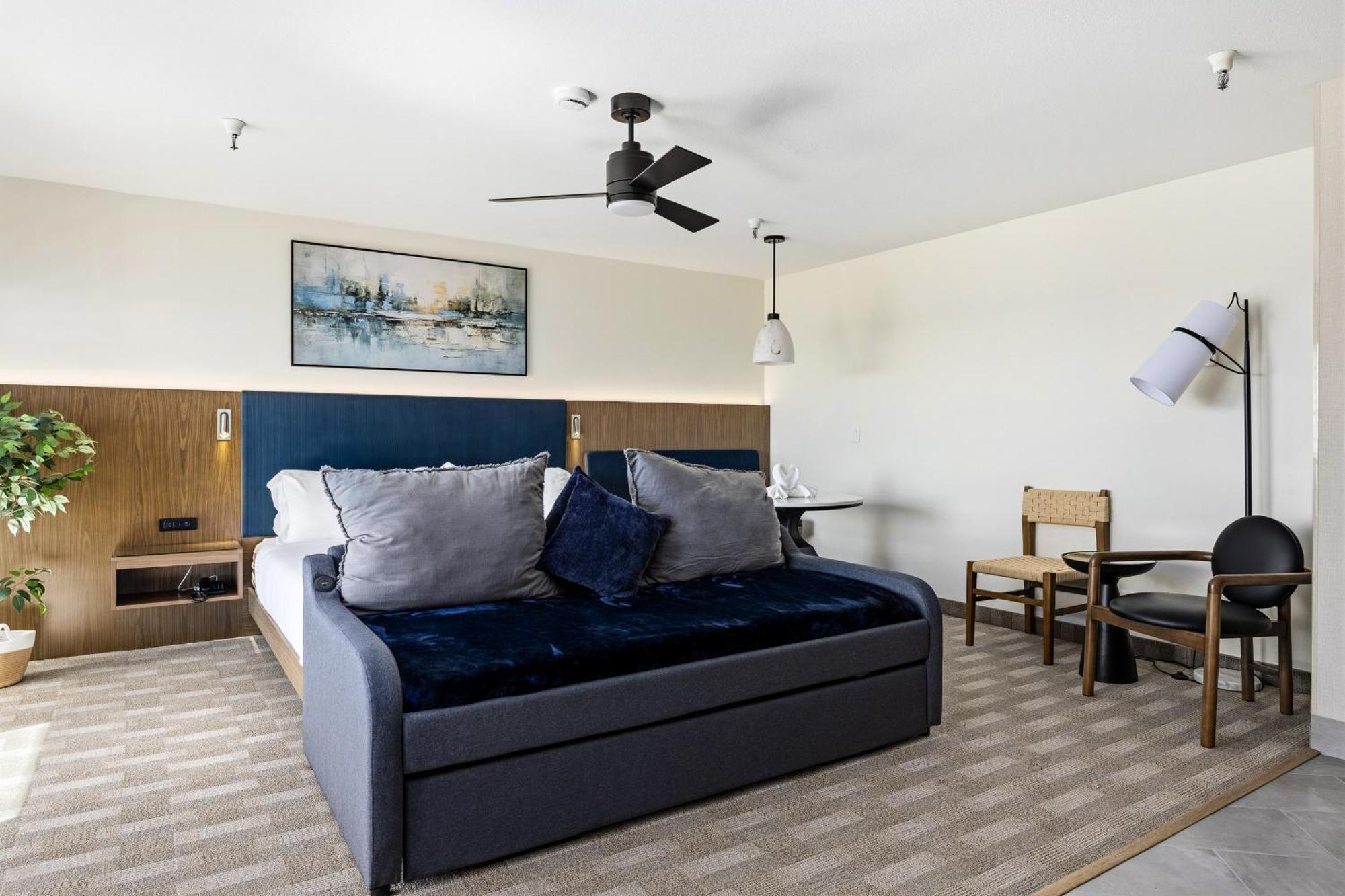 Mini Suite Non Pet Friendly