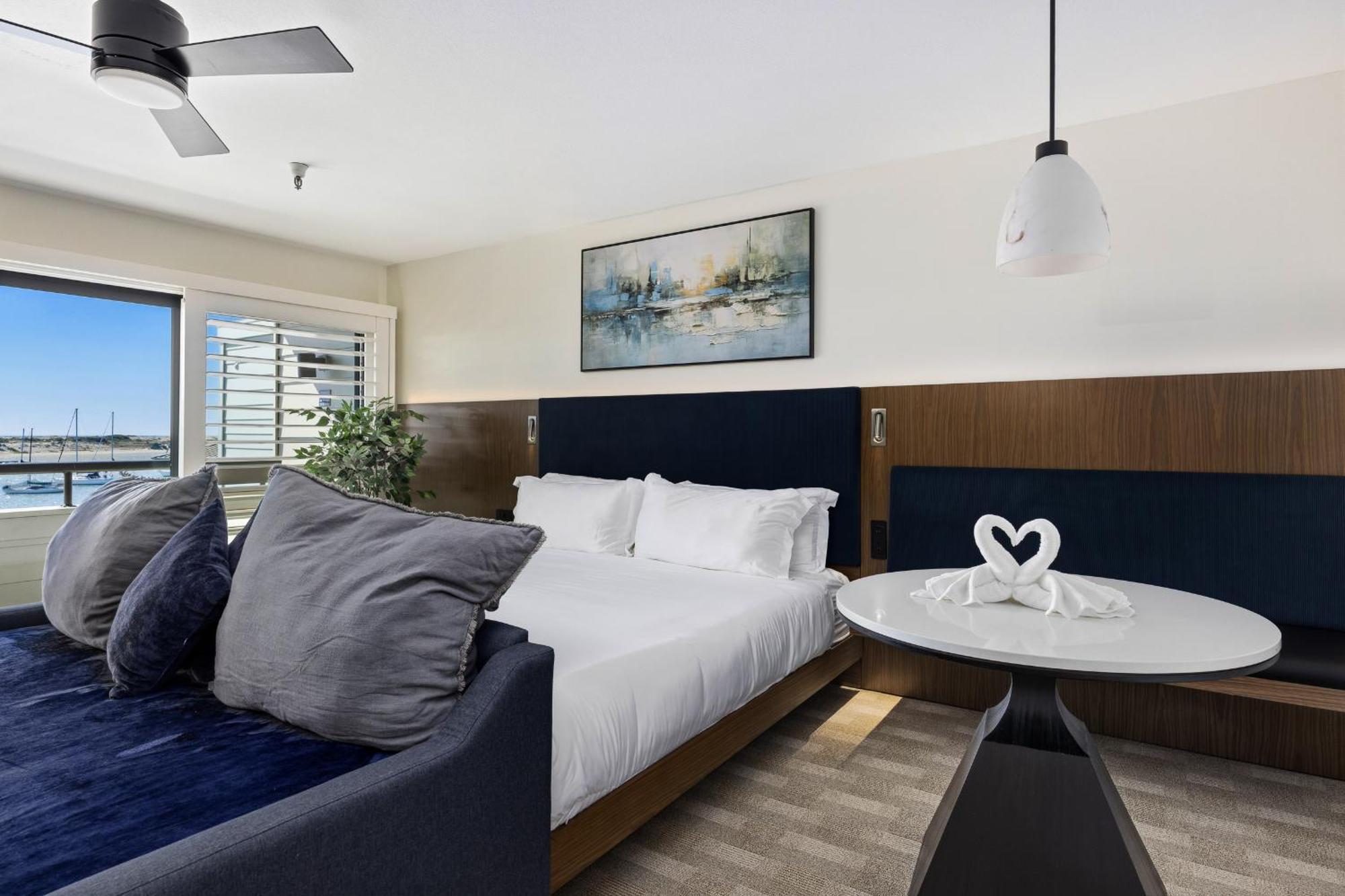 Mini Suite Non Pet Friendly