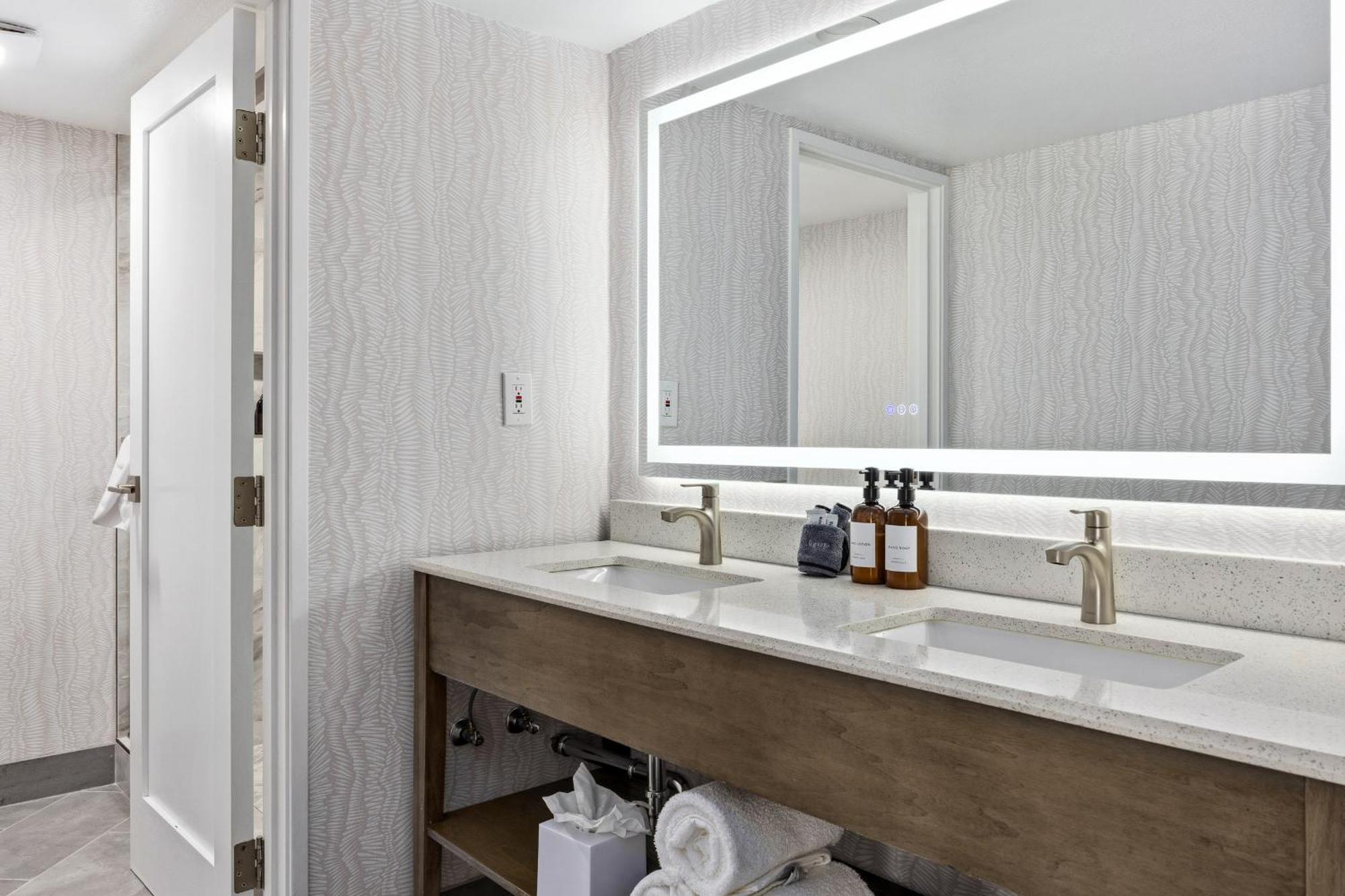 Mini Suite Non Pet Friendly