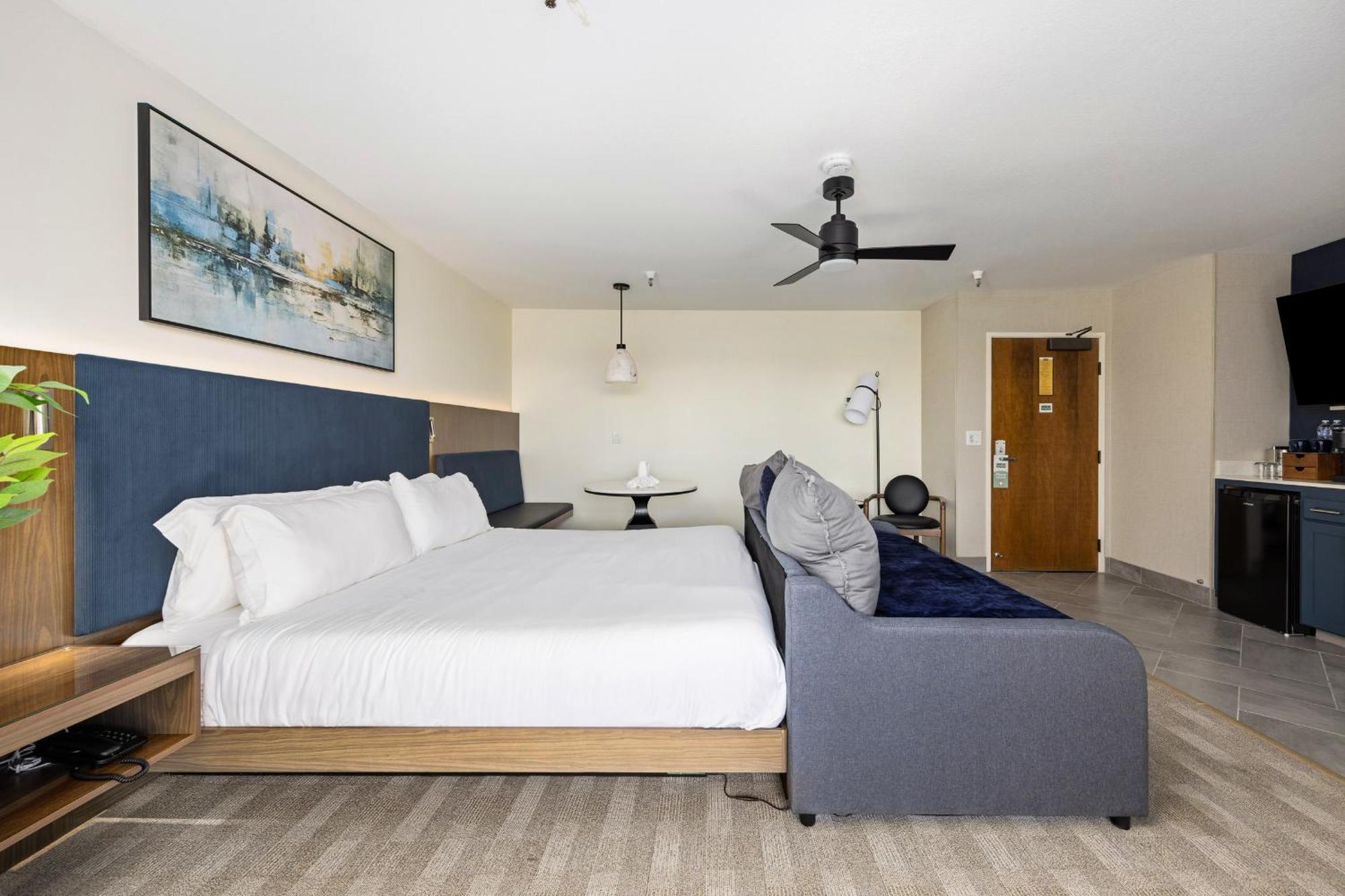 Mini Suite Non Pet Friendly