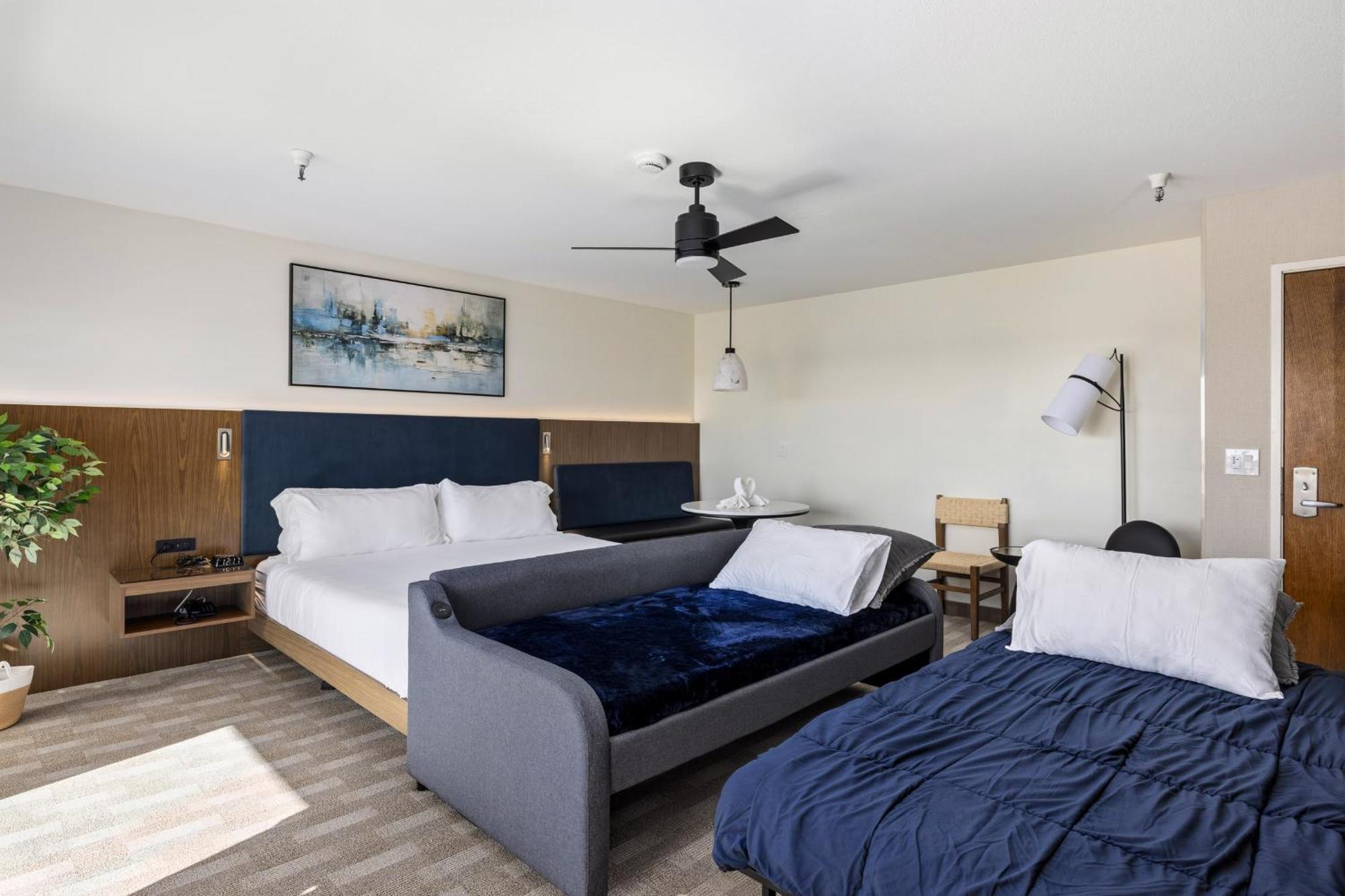 Mini Suite Non Pet Friendly