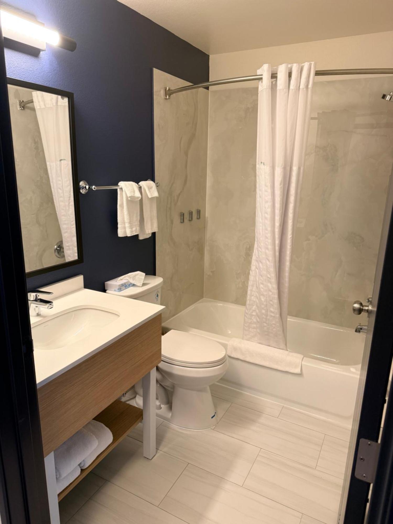 Queen Studio Suite with Sofa Bed - Non-Smoking / Non Pet Friendly