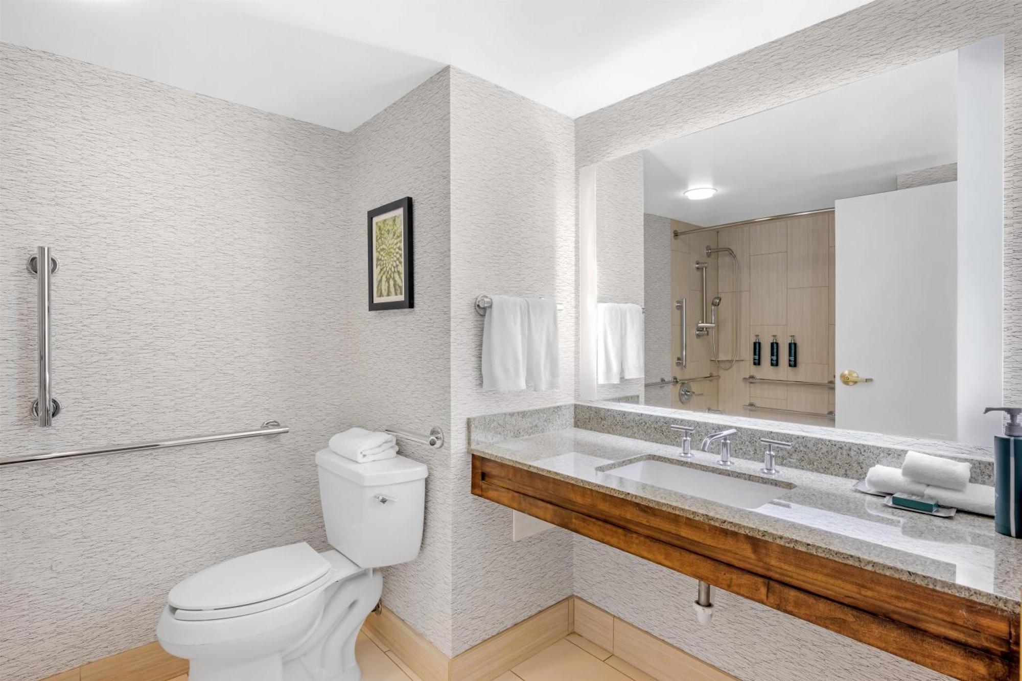King Room Bath Tub Mobility Access