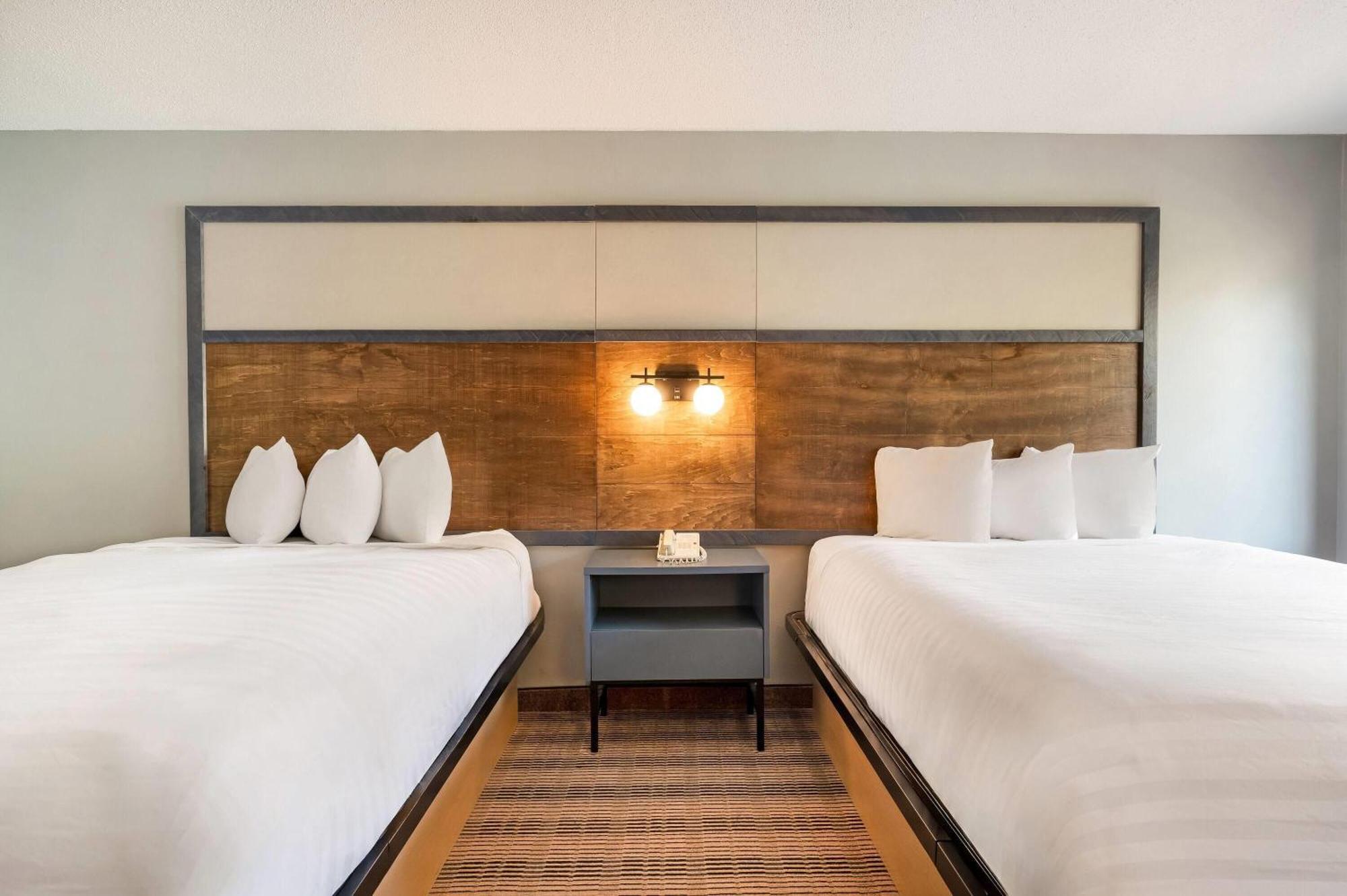 Queen Room with Forest View and Balcony - Non-Smoking