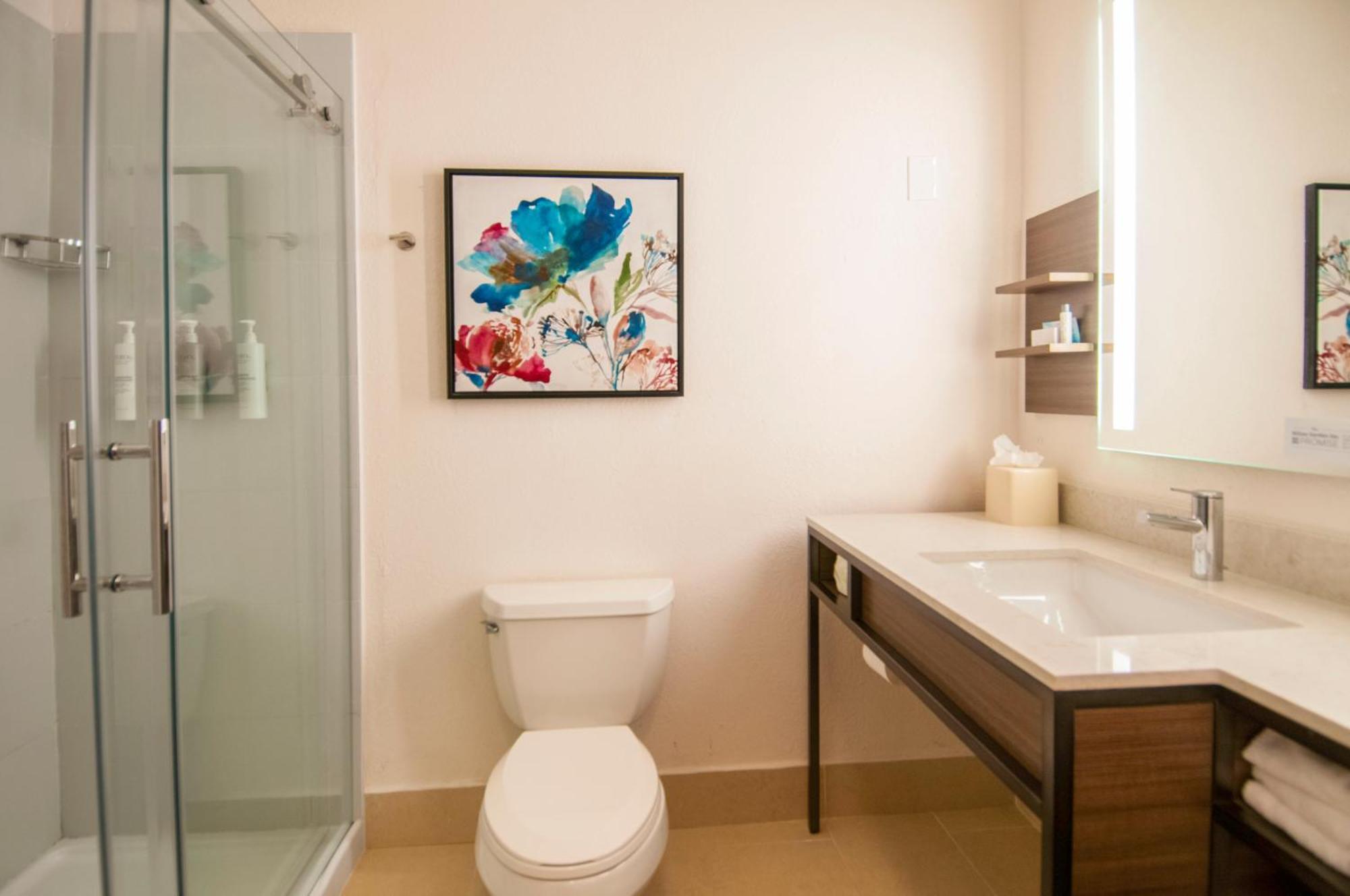 King Room Tub Mobility Hearing Access