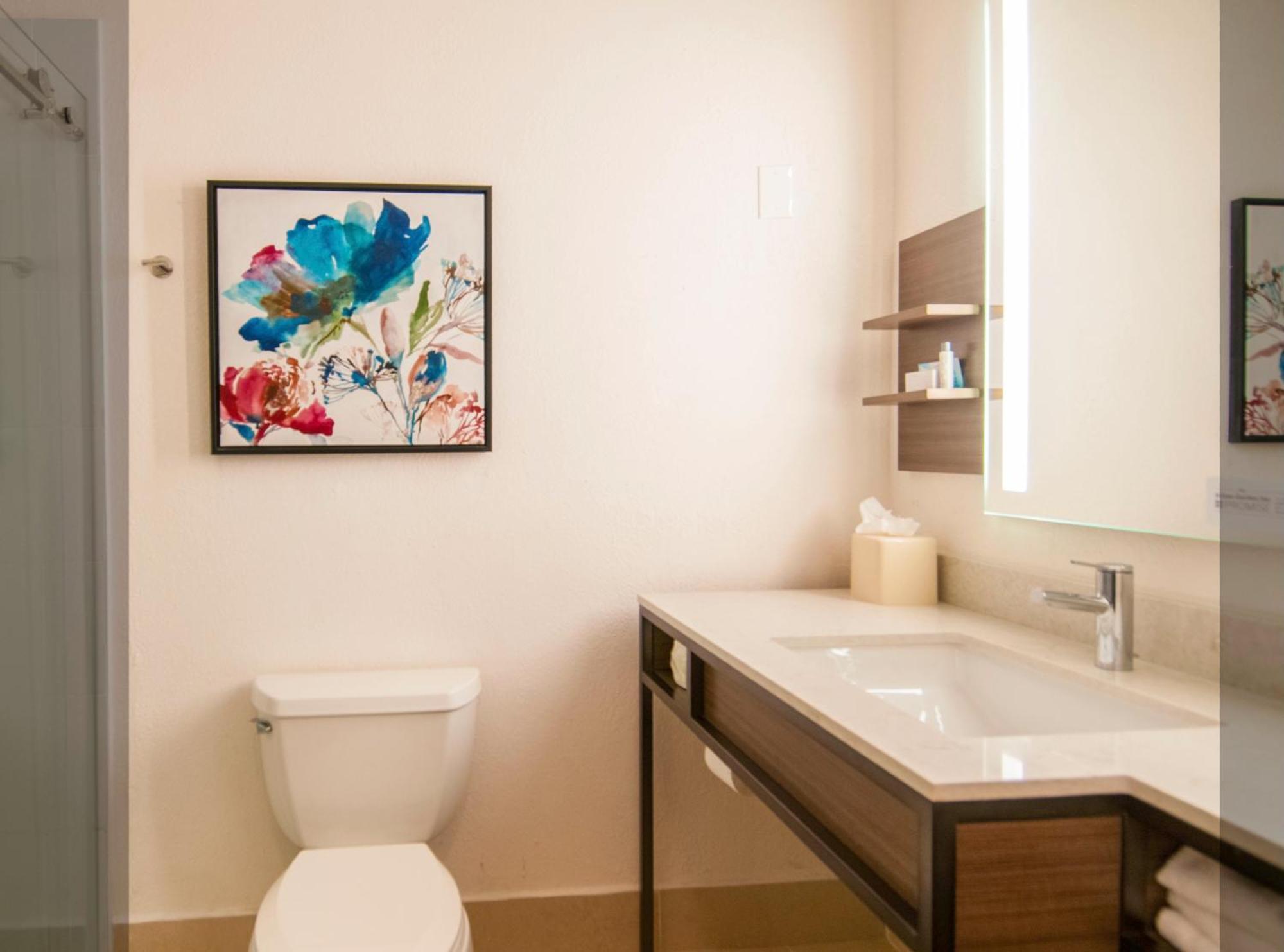 King Room Tub Mobility Hearing Access