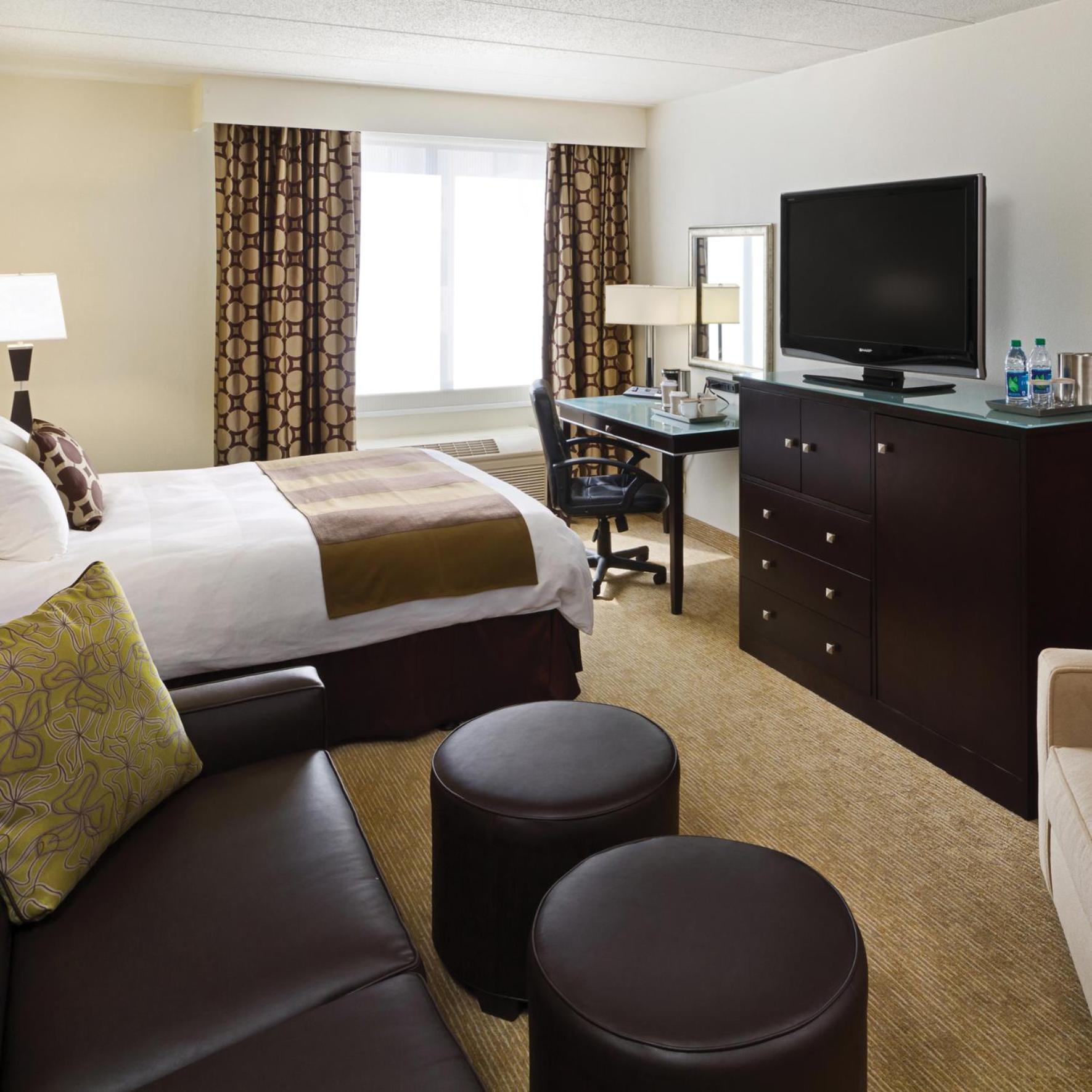 Executive Queen Room Sofa Bed Non-Smoking