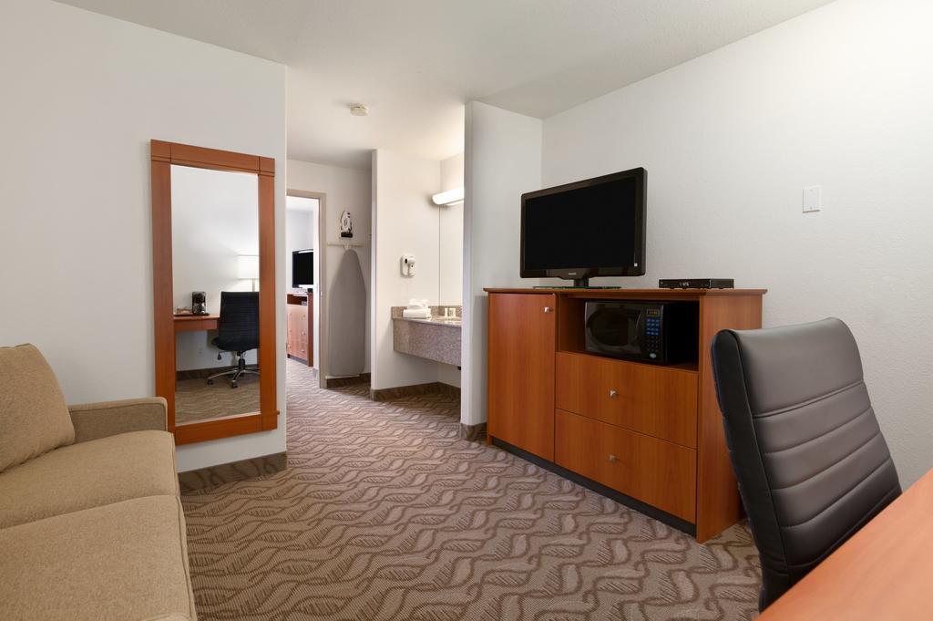 One-Bedroom King Suite with Living Room - Non-Smoking