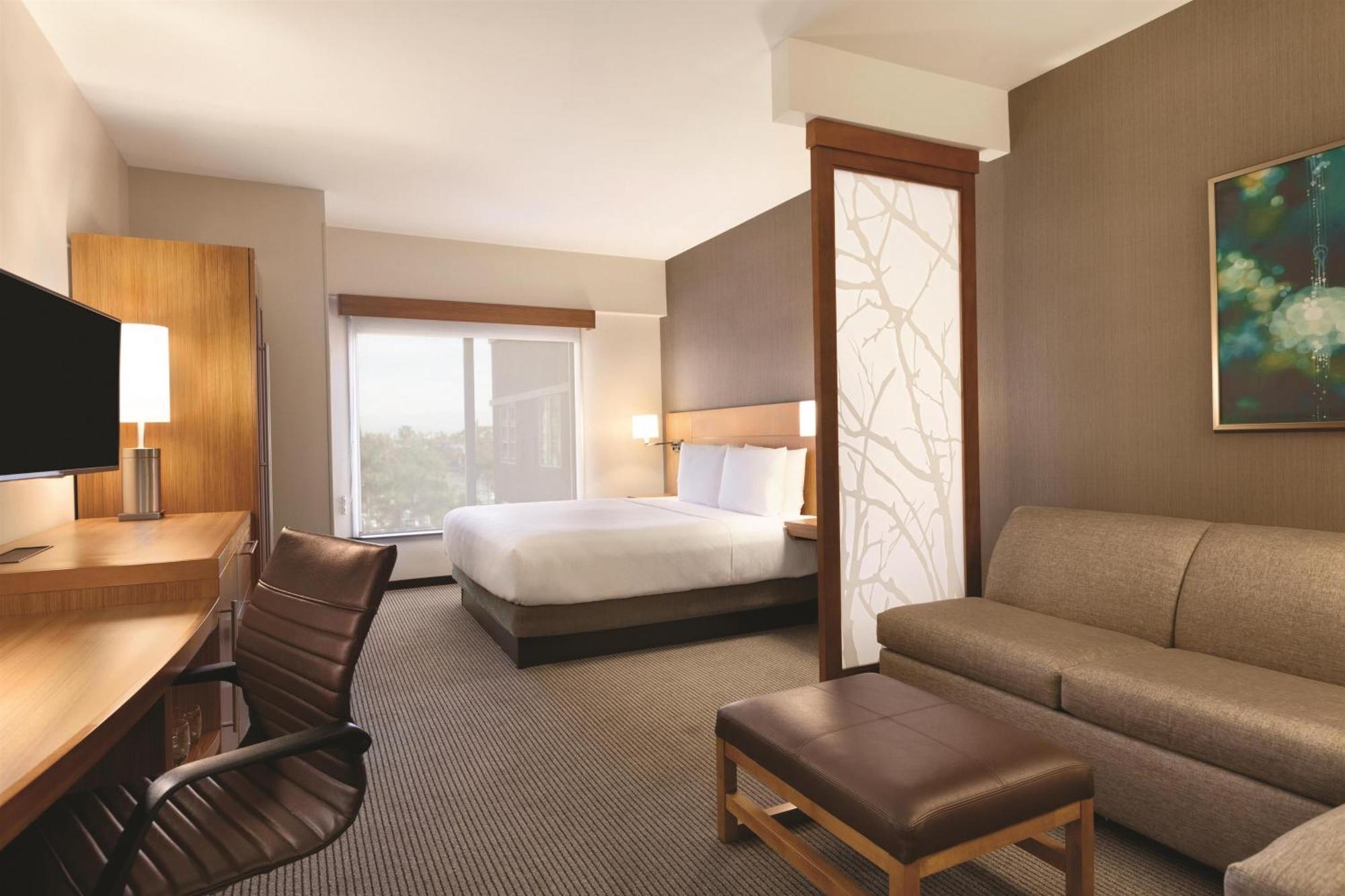 King Room with Sofa Bed