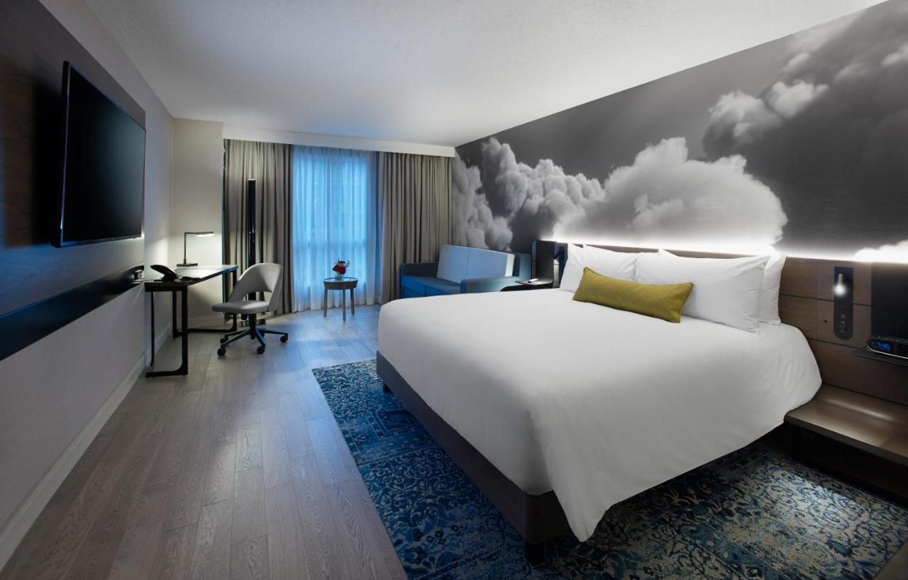 Executive King Room Renovated,750675299:JPEG
