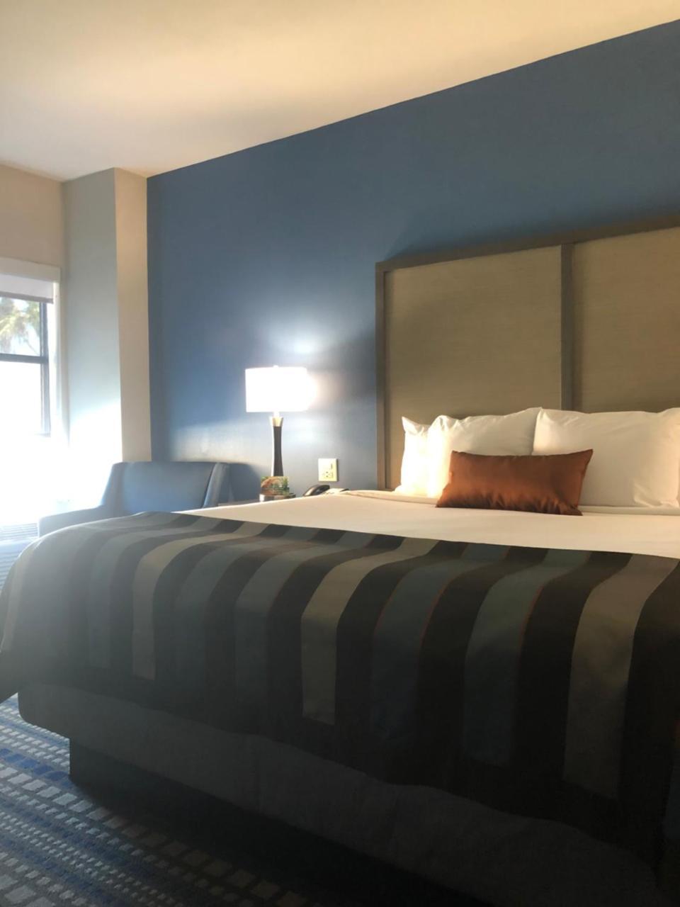 King Studio Suite with Roll In Shower - Mobility Accessible/Non-Smoking