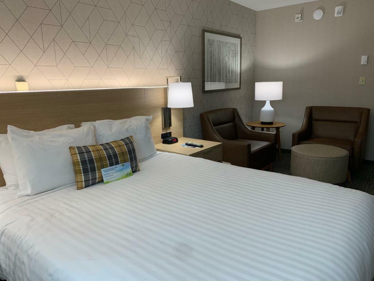 Studio Suite with Two Queen Beds - Non-Smoking