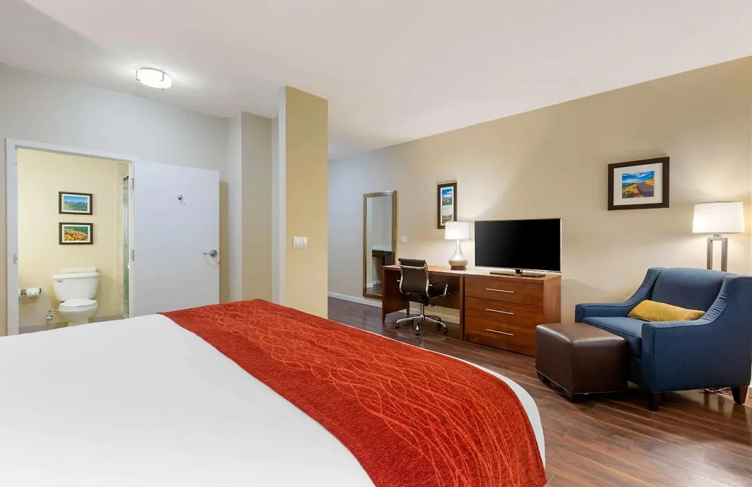 Comfort Inn & Suites Near Ontario Airport-1