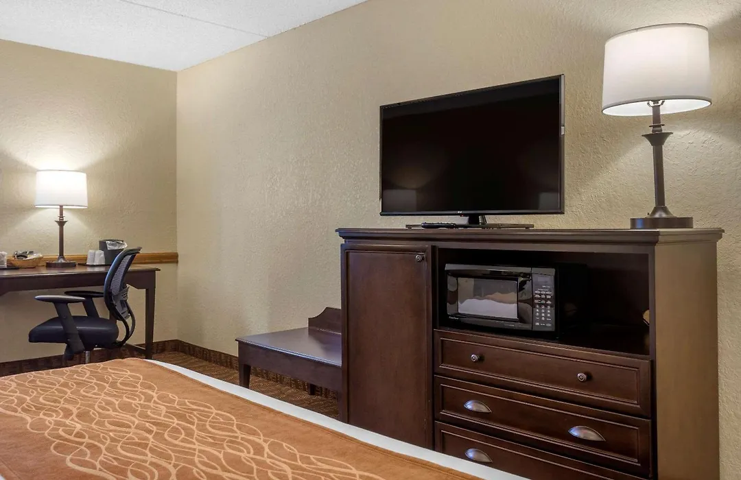 Comfort Inn At Thousand Hills-1