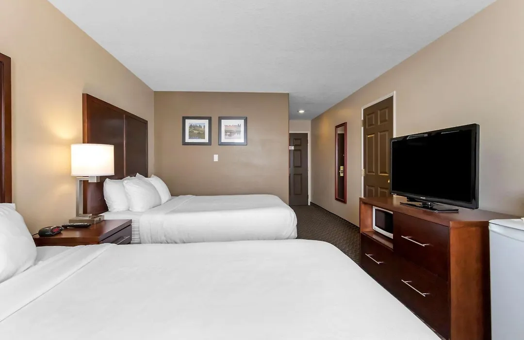Comfort Inn Lethbridge South-1
