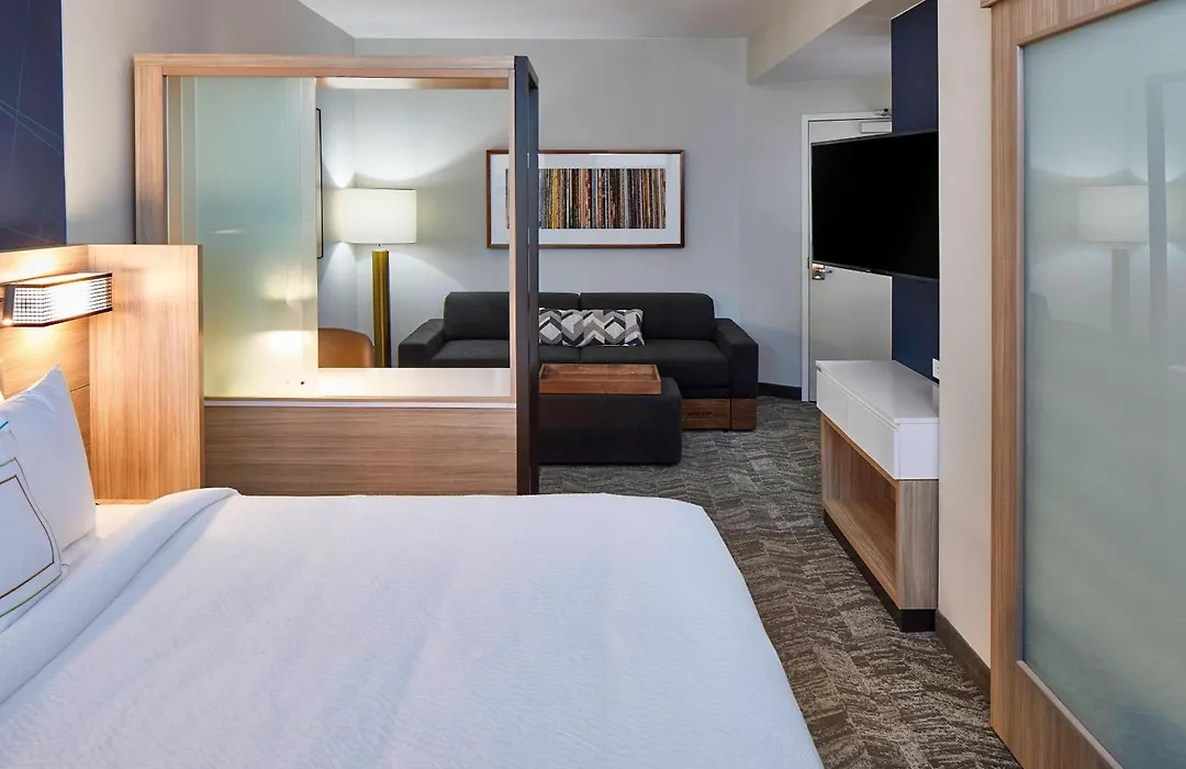 Springhill Suites By Marriott Nashville Downtown/Convention Center-1
