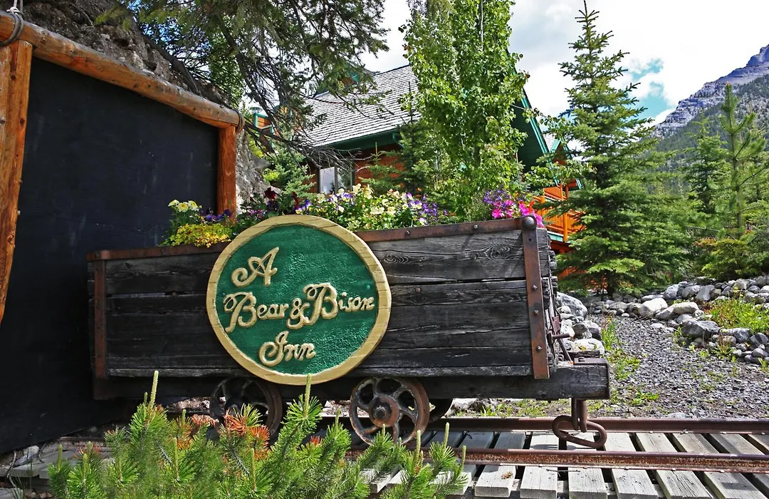 A Bear And Bison Country Inn-1