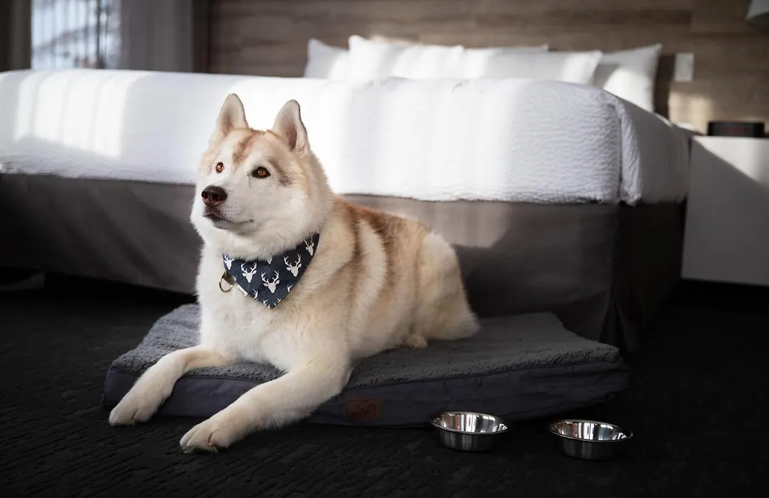 Elk + Avenue Hotel-1