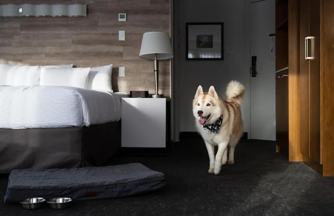 Elk + Avenue Hotel-1