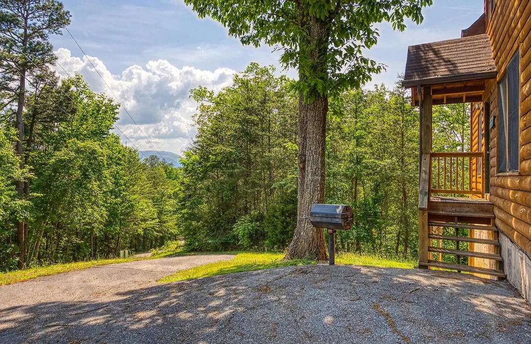 A Smoky Mountain Dream #291-1