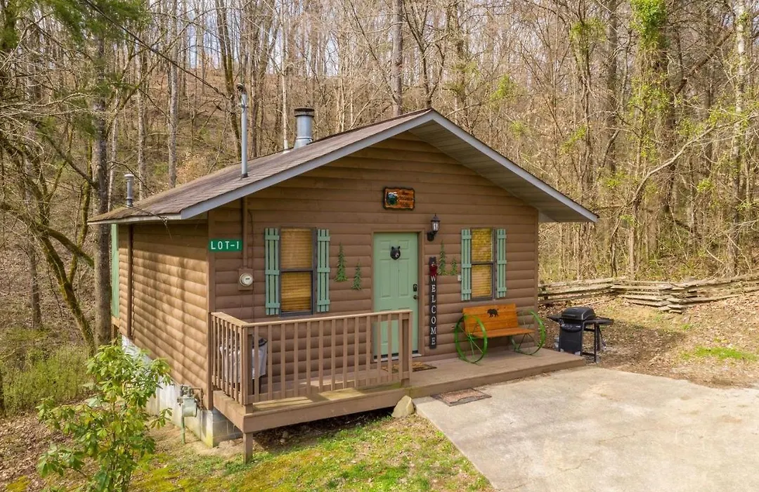 Bear Mountain Hollow-Free Dollywood Ticket- Cozy Cabin With A Hot Tub, Arcade & Deck Close To Town-1