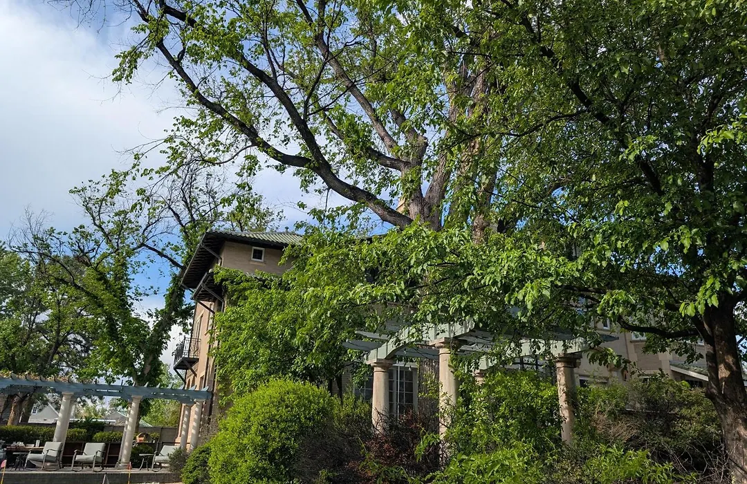 Luxury At The 1912 Sharp Mansion-1