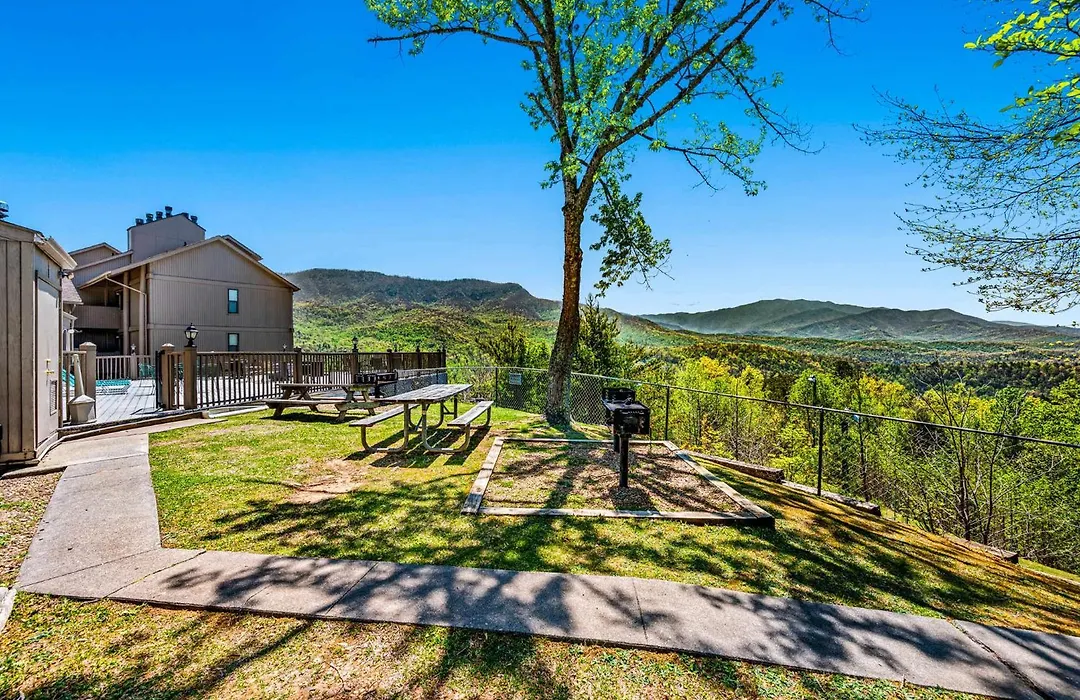 Timberline Terrace-1