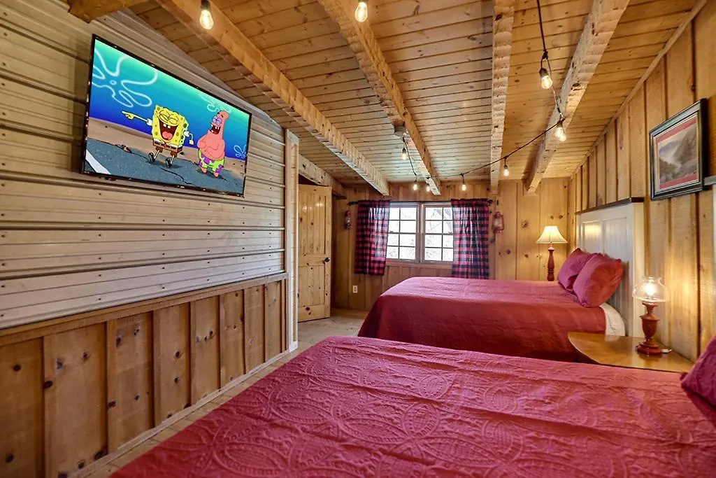 H2Oasis By Venture Smoky Mountains-1