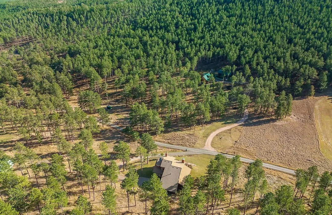 Peaceful Pines-1