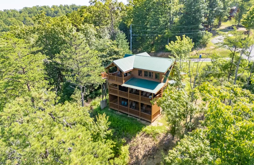 Gray Wolf Den-1