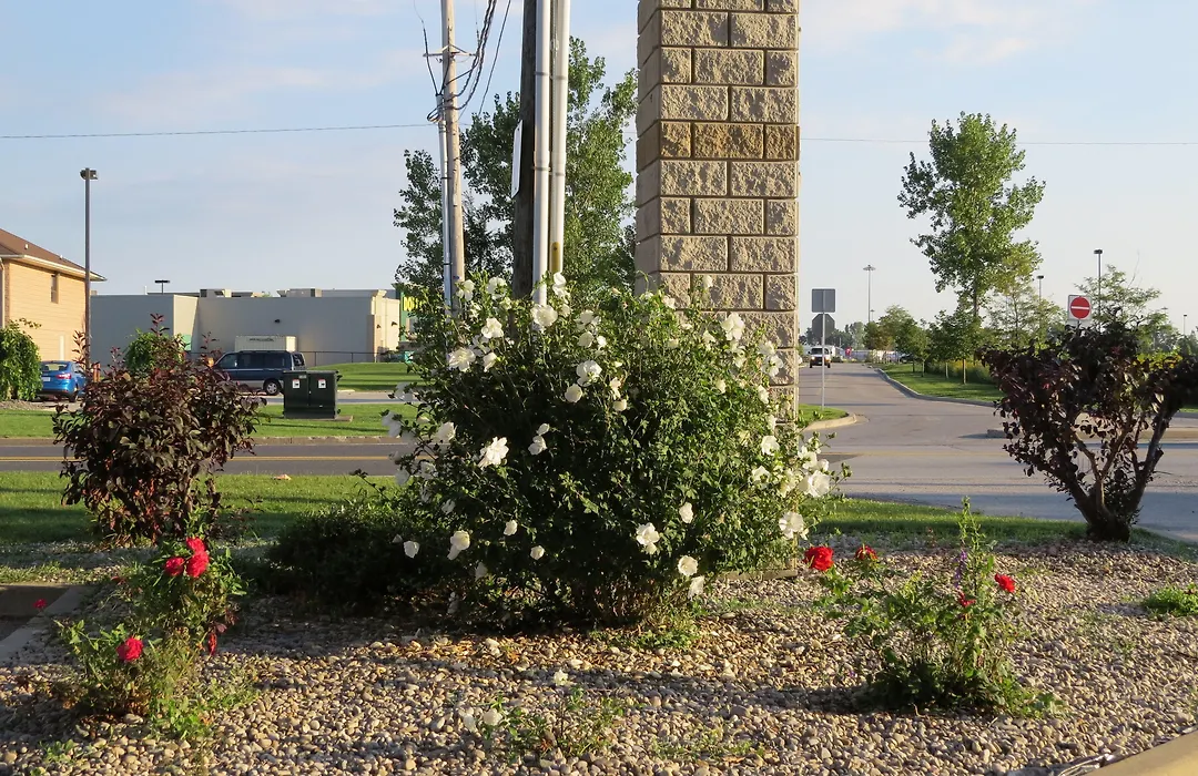 Lexington Inn & Suites-Windsor-1