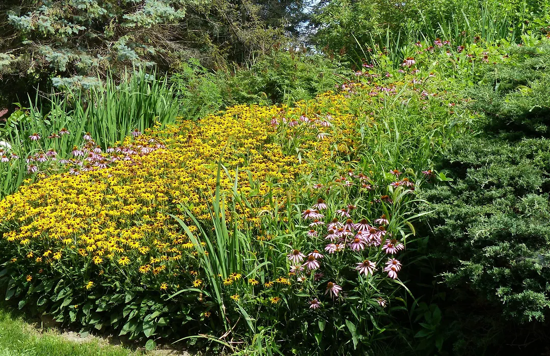 Cloran Mansion Bed & Breakfast-1