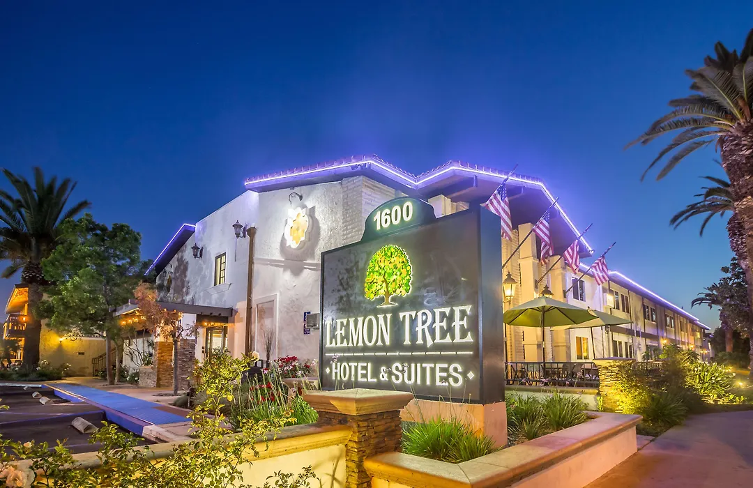 Lemon Tree Hotel And Suites-1