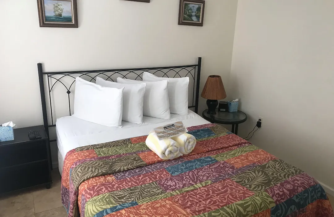 New Orleans House - Gay Male Adult Guesthouse-1