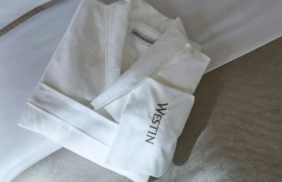 The Westin Detroit Metropolitan Airport-1