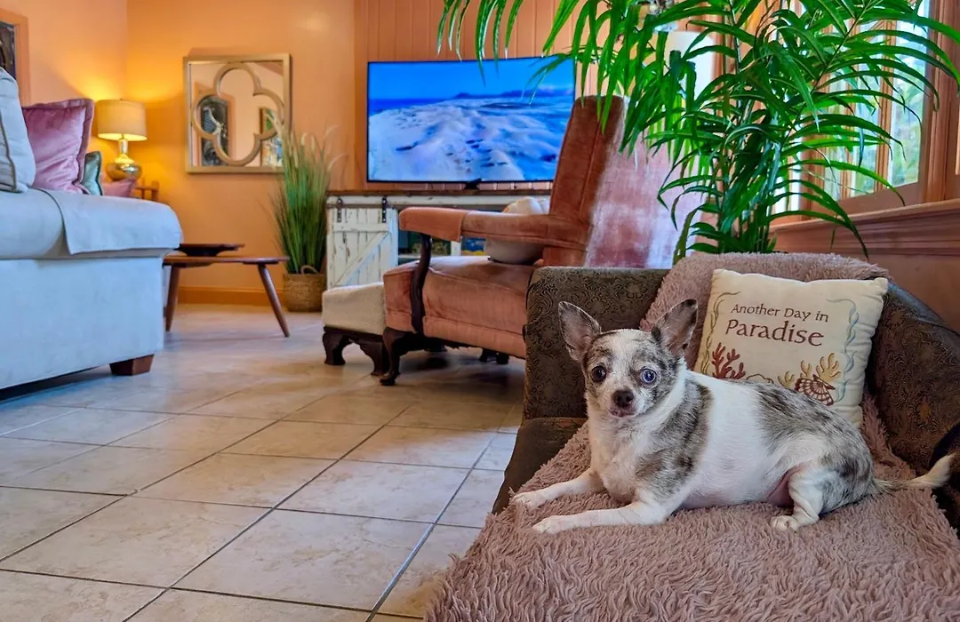Creekside Paradise-1