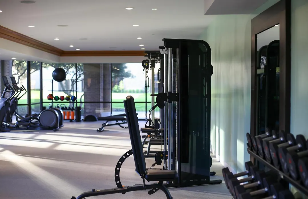 Hilton Anatole-1