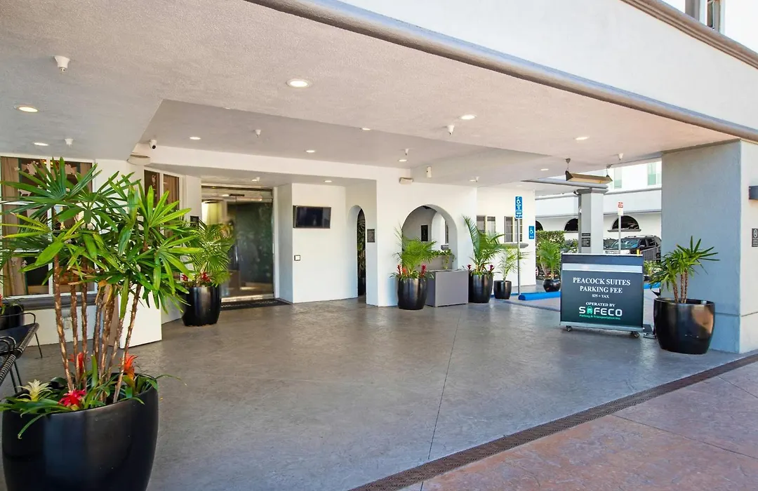 Peacock Suites-1